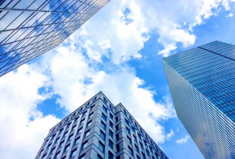 損害保険代理店事業