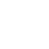 車両
